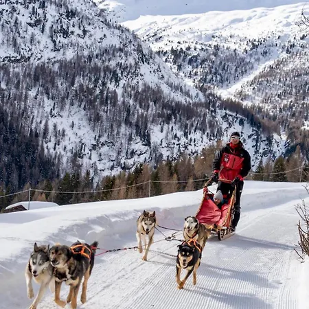 Apartment Profumo Di Legno Fra Le Alpi *